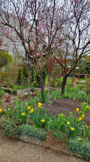  - 2024 - 01 - Primavara