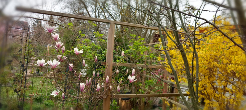 © - 2024 - 01 - Primavara