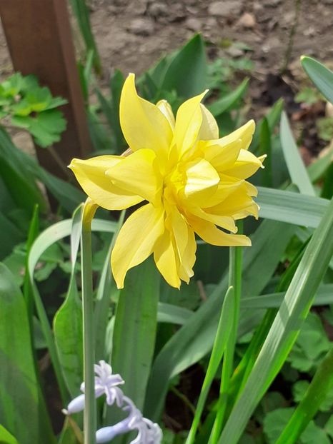  - FEBRUARIE- MARTIE- APRILIE