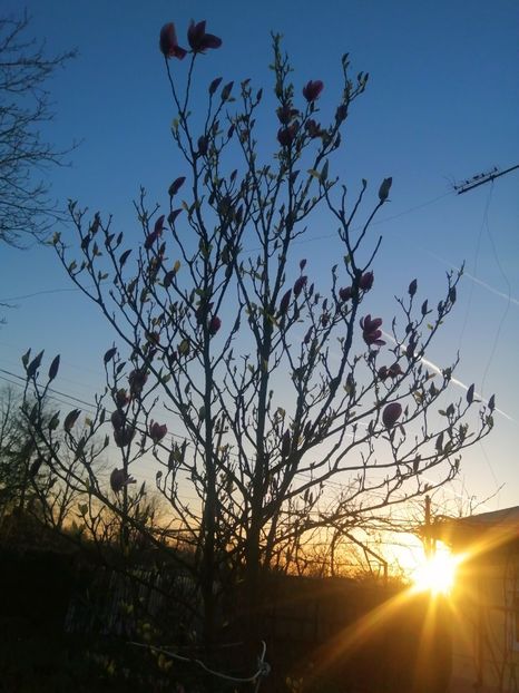  - PRIMVARA 2024 2025