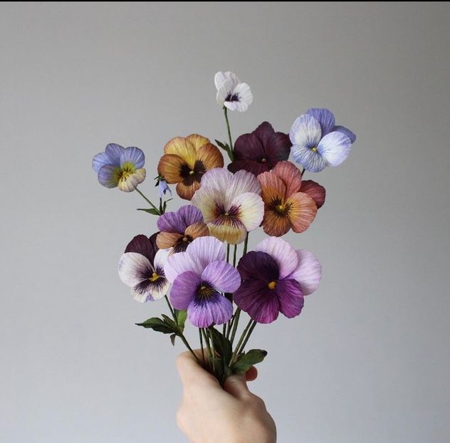 Noᓍꄱo—o!!! do you have any idea how hard it is to wipe it off? - Collection of Tintypes