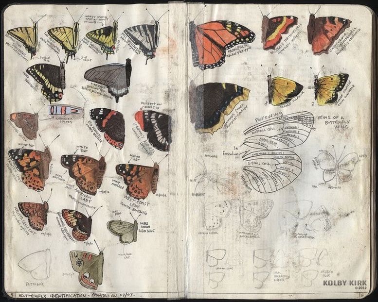 fine, I’ll take a torte out of the tray for you to try... - Collection of Tintypes