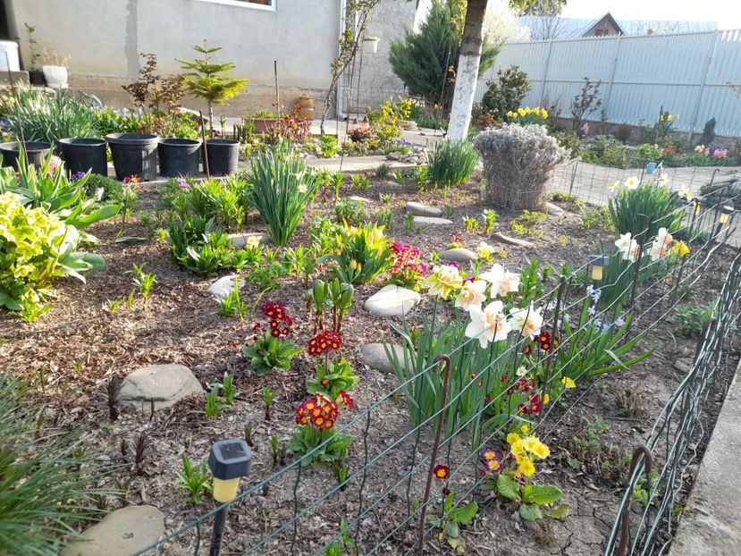  - 1 2024 Din nou cu natura impreuna !