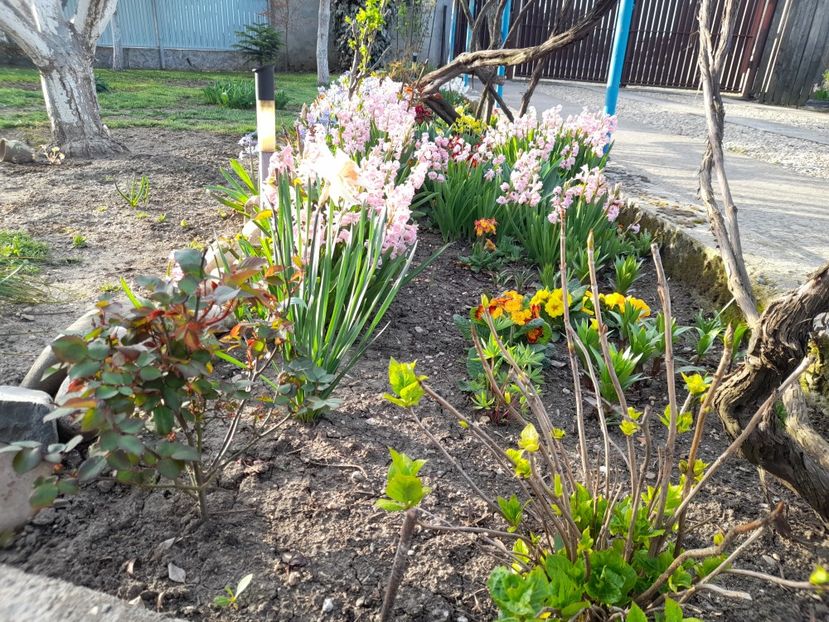  - 1 2024 Din nou cu natura impreuna !