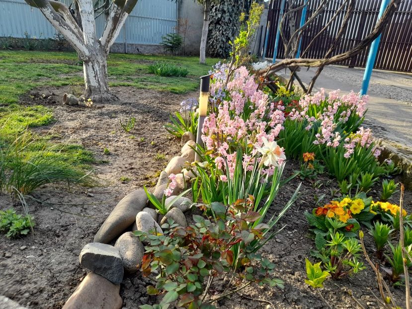  - 1 2024 Din nou cu natura impreuna !