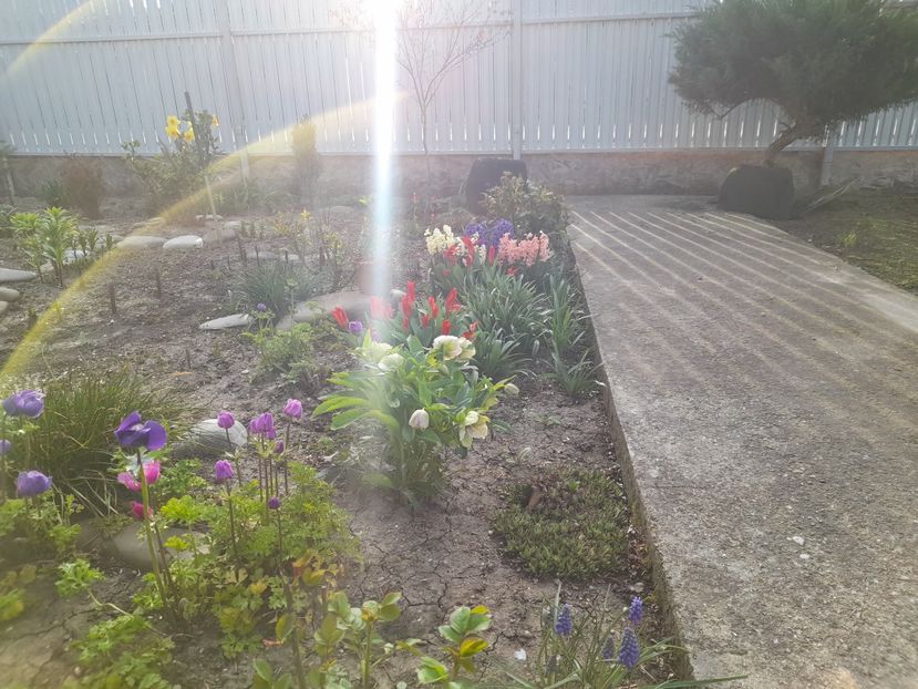  - 1 2024 Din nou cu natura impreuna !