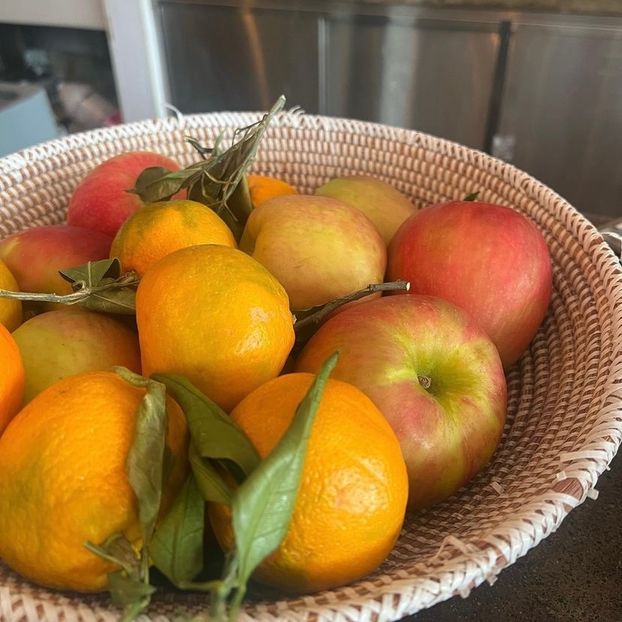 look at you, in the holiday spirit! — but I’m sitting too comfortably to get up. - Collection of Tintypes