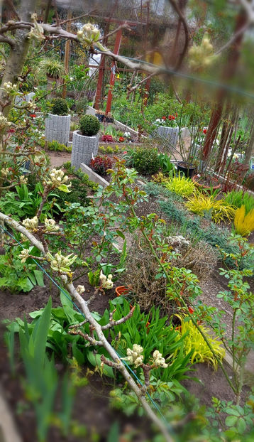  - 2024 - 01 - Primavara