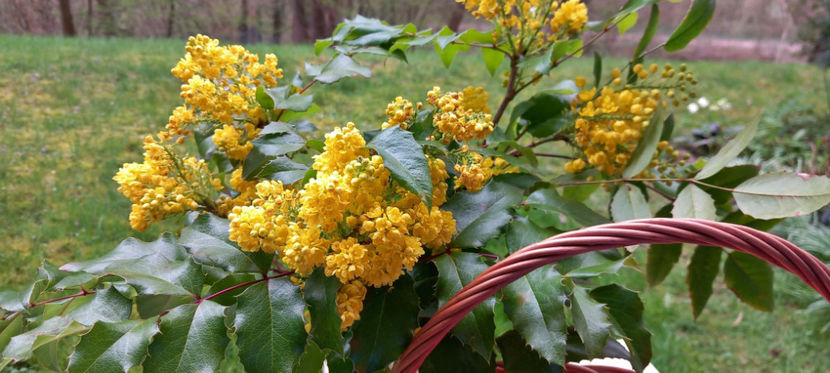  - 2024 - 01 - Primavara