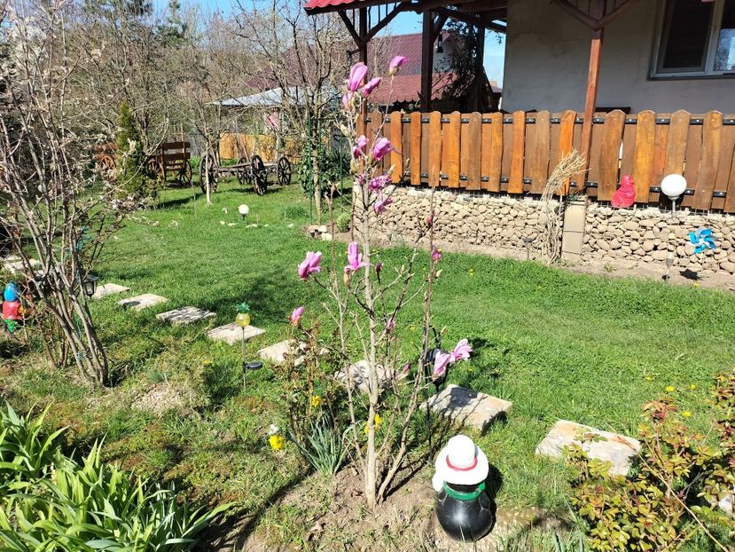 IMG20240330103433 - Magnolii 2024