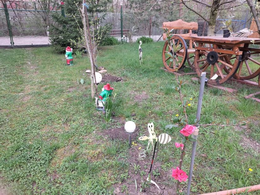 IMG20240401092940 - Primăvară 2024