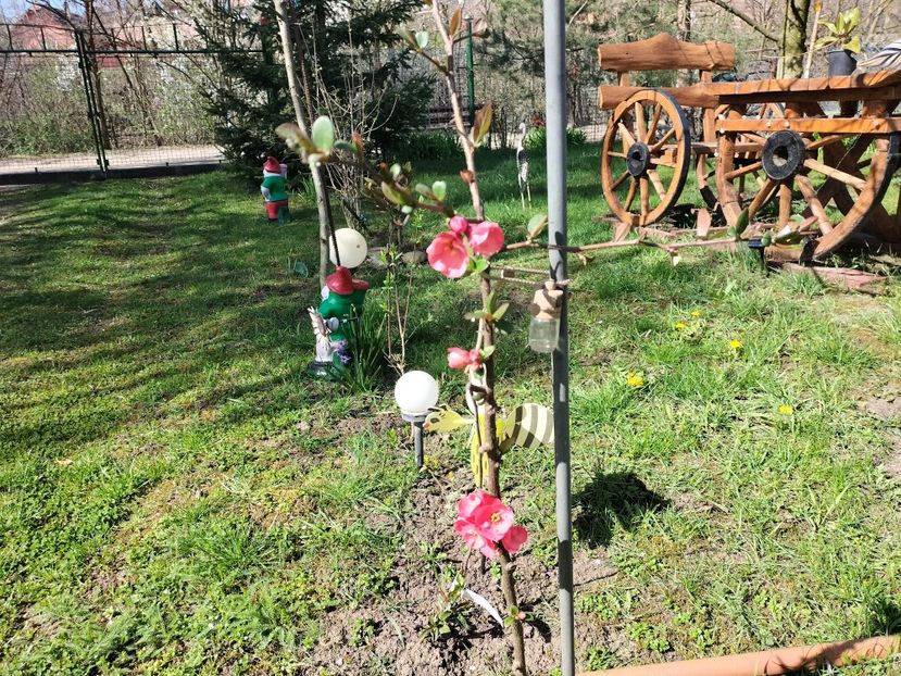 IMG20240330103640 - Primăvară 2024