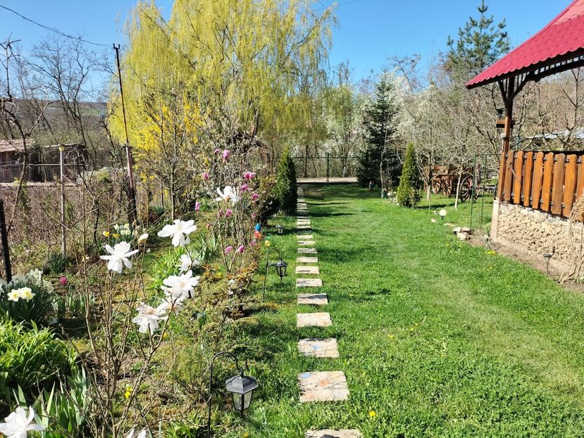 IMG20240330103618 - Primăvară 2024