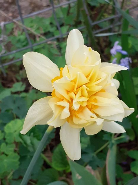  - FEBRUARIE- MARTIE- APRILIE
