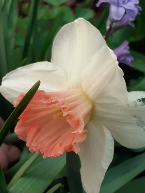  - FEBRUARIE- MARTIE- APRILIE