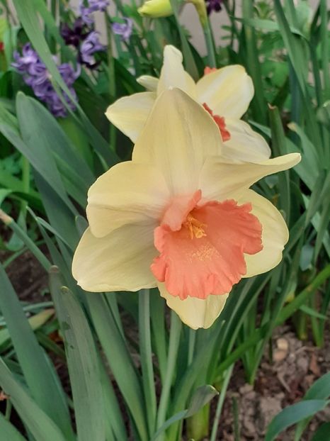  - FEBRUARIE- MARTIE- APRILIE