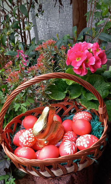 © - 2024 - 01 - Primavara