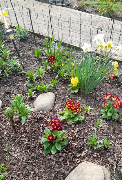  - 1 2024 Din nou cu natura impreuna !