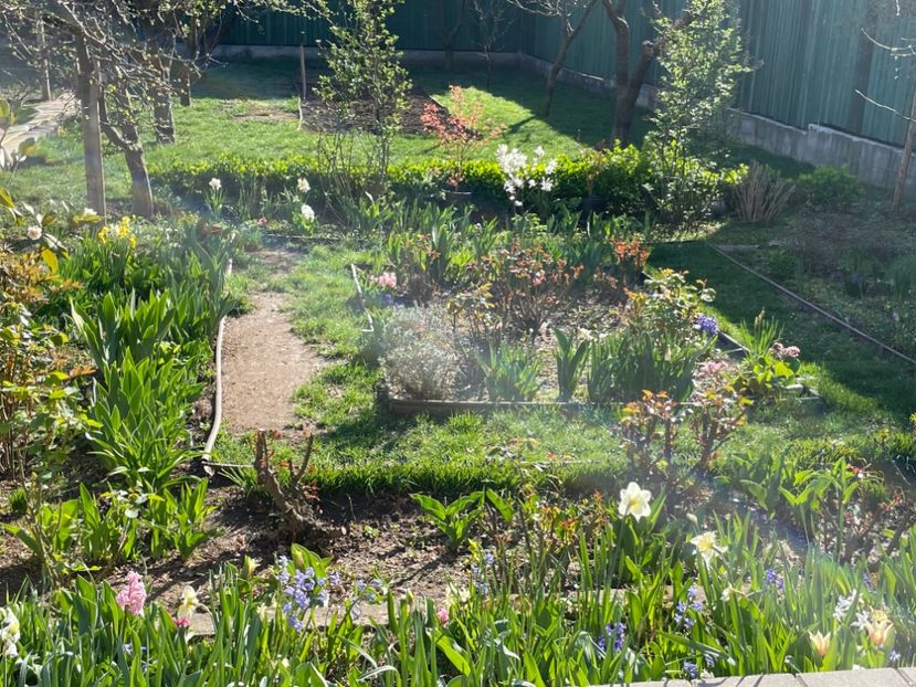  - 002 Grădina 2024 1