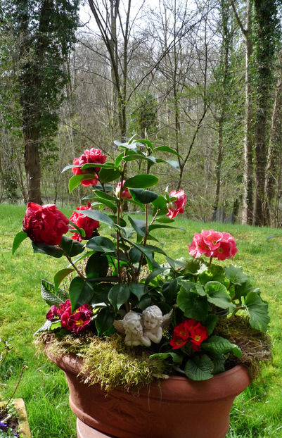 © - 2024 - 01 - Primavara