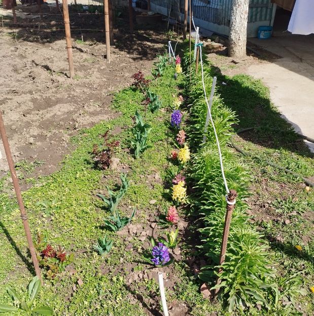 5535cb16-7c3b-4d50-9826-f60c15c59b4c-1_all_8988 - PRIMĂVARĂ - VARĂ 2024