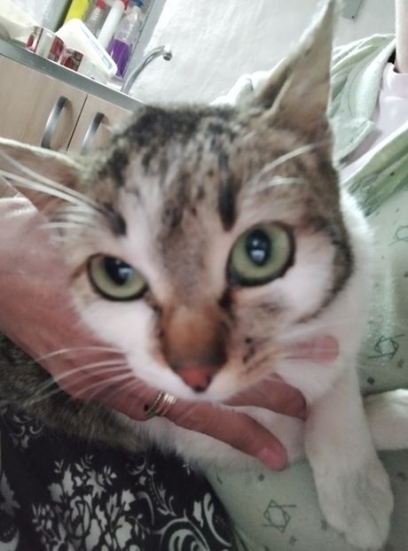 5535cb16-7c3b-4d50-9826-f60c15c59b4c-1_all_8361 - PRIMĂVARĂ - VARĂ 2024