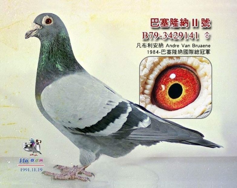 1 int Barcelona 1984 - Barcelona internațional