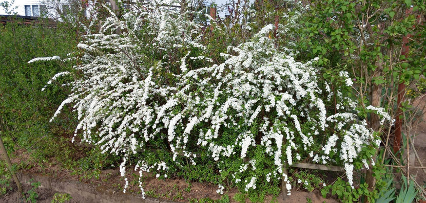  - 2024 - 01 - Primavara