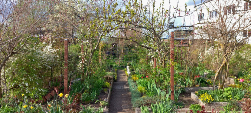  - 2024 - 01 - Primavara