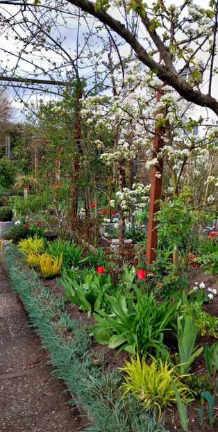  - 2024 - 01 - Primavara