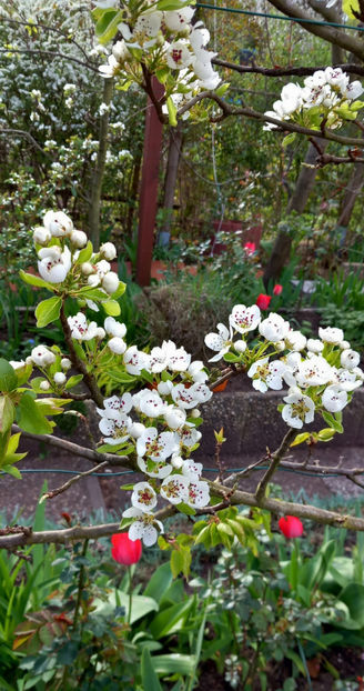  - 2024 - 01 - Primavara