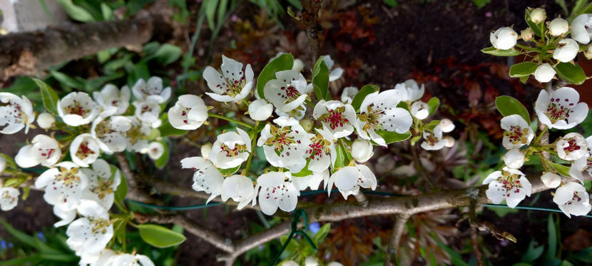  - 2024 - 01 - Primavara