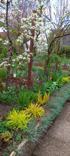  - 2024 - 01 - Primavara