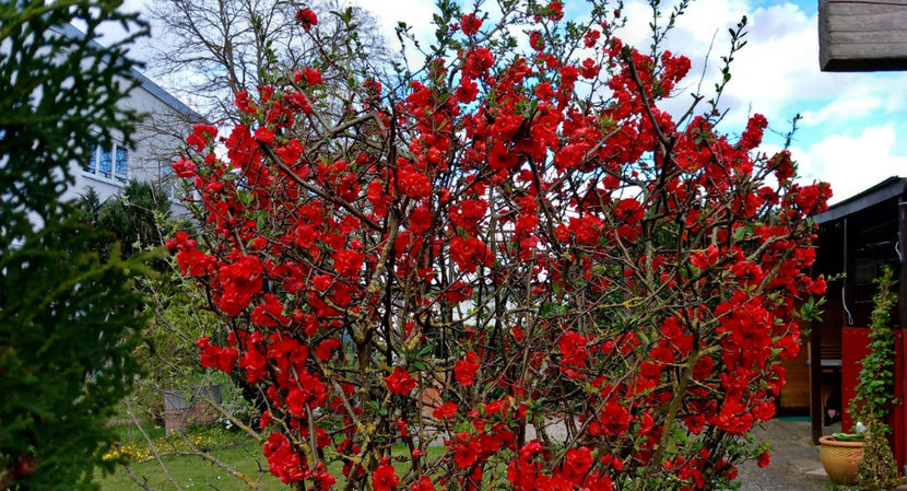  - 2024 - 01 - Primavara