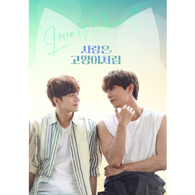 Love is like a Cat - x-k-Korean Dramas 2024