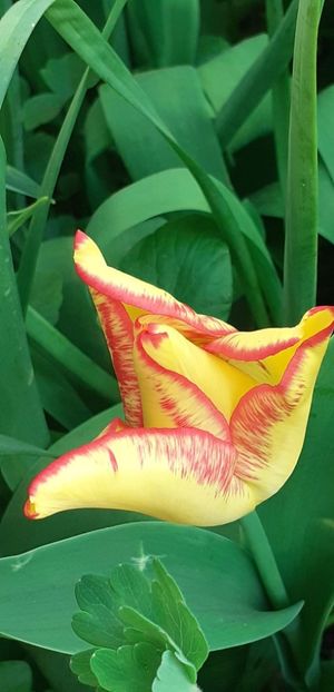 20240405_081720~2 - FEBRUARIE- MARTIE- APRILIE