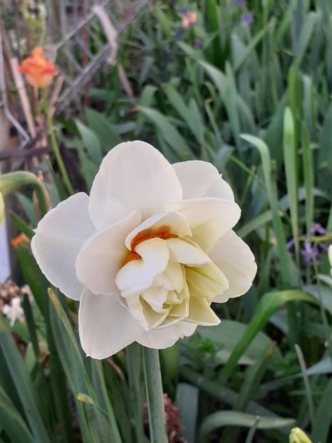  - FEBRUARIE- MARTIE- APRILIE