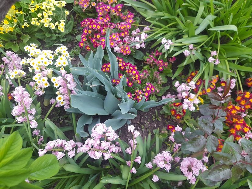  - 1 2024 Din nou cu natura impreuna !