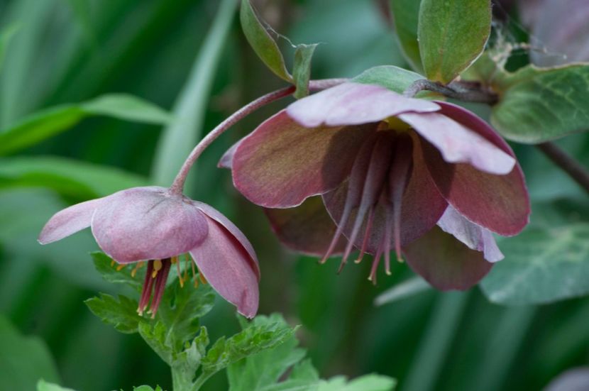 _DSC0419 - ANUL 2024