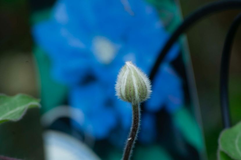 _DSC0427 - ANUL 2024