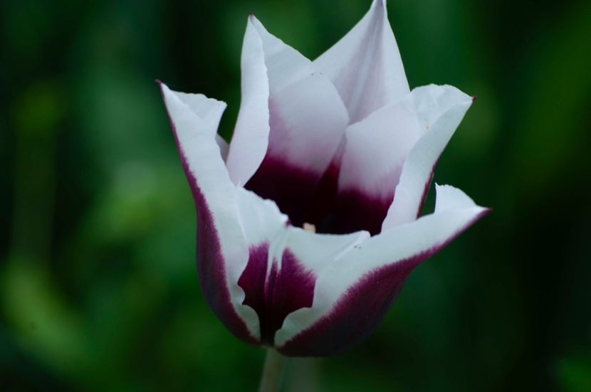 _DSC0429 - ANUL 2024