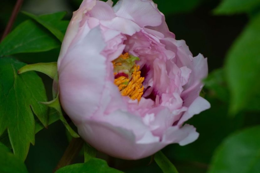 _DSC0444 - BA NN1_2024