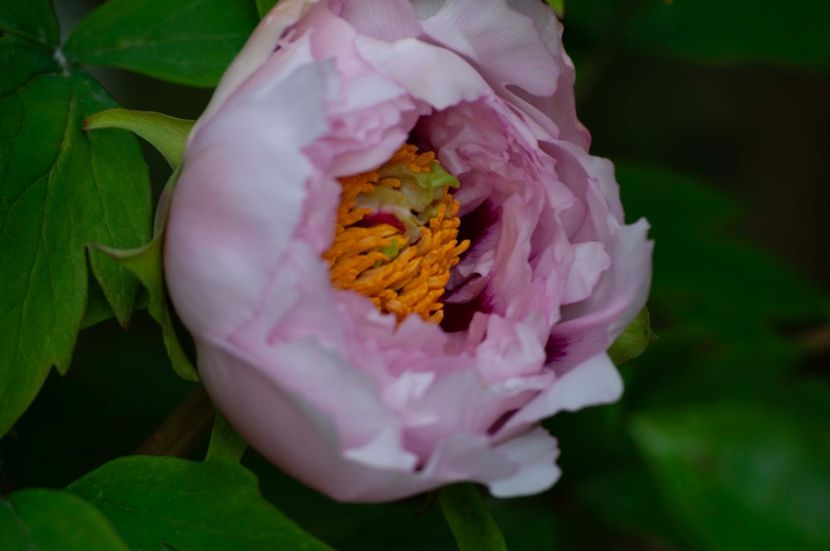 _DSC0445 - BA NN1_2024