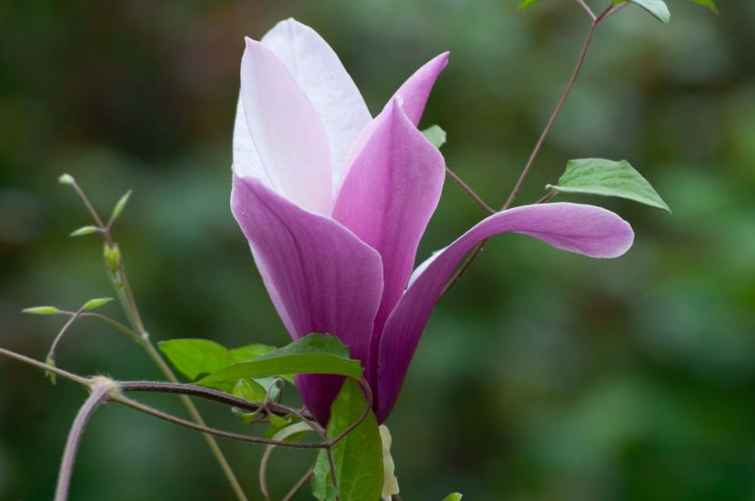 _DSC0455 - ANUL 2024