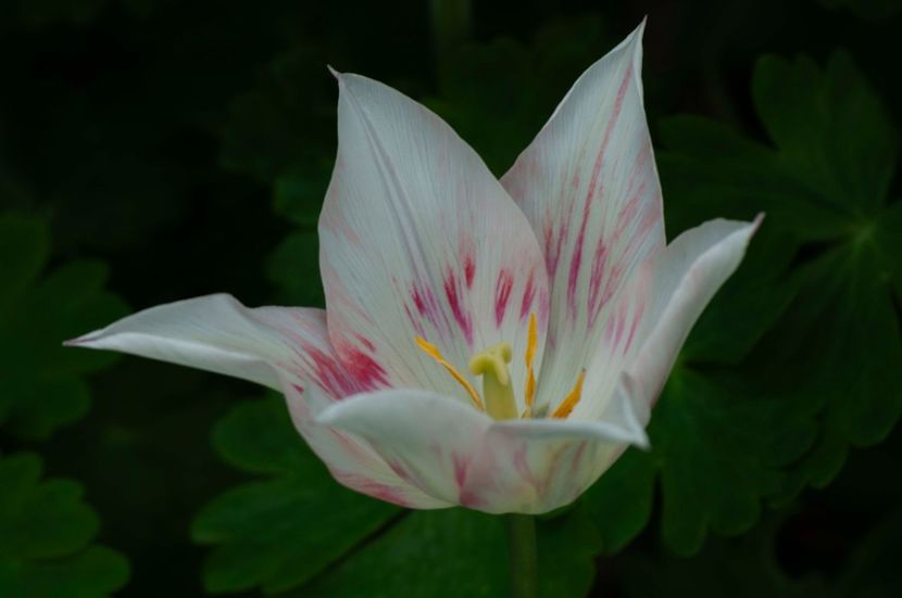 _DSC0480 - ANUL 2024