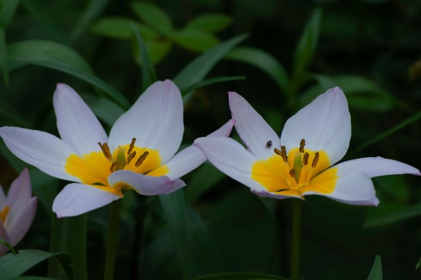 _DSC0498 - ANUL 2024