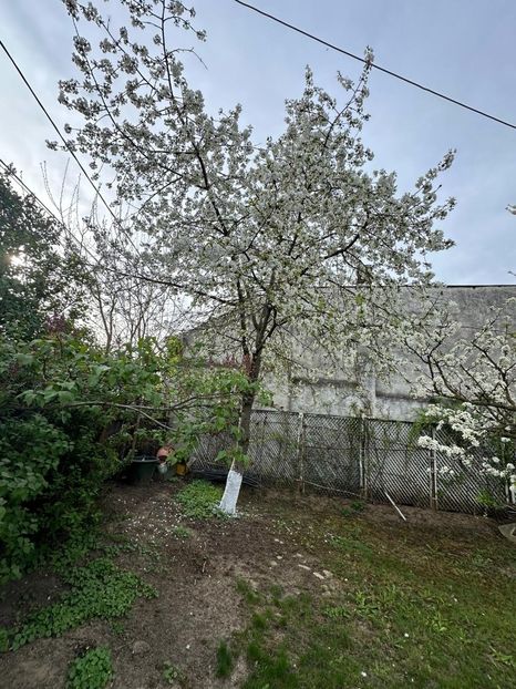 WhatsApp Image 2024-04-06 at 08.59.33_7c1631c7 - 0 00 6 04 2024 Grd Roman