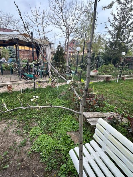 WhatsApp Image 2024-04-06 at 08.59.33_738e3ba7 - 0 00 6 04 2024 Grd Roman