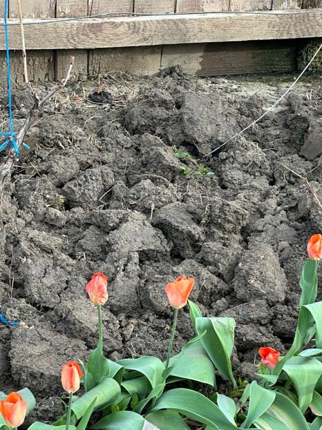 WhatsApp Image 2024-04-06 at 08.59.33_9352fdeb - 0 00 6 04 2024 Grd Roman