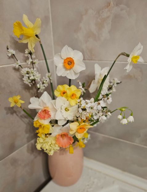  - Narcise 2017 2023 24